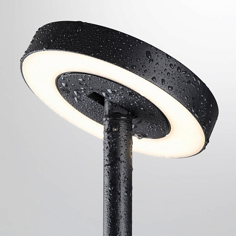 Ландшафтный светильник Odeon Light Disc Nature 7189/6GL