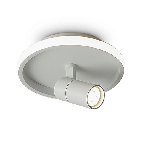 Накладной светильник Freya FR6040CL-L14W