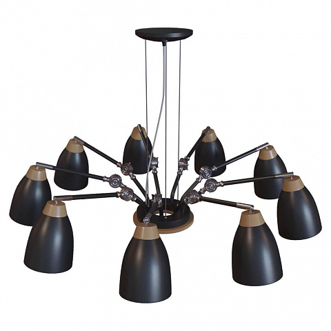 Подвесная люстра LOFT IT LOFT4402/9BL