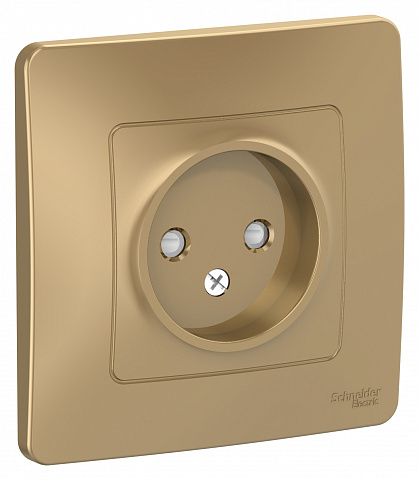 Systeme Electric Blanca внутр Титан Розетка б/з со шторками, 16А, 250В