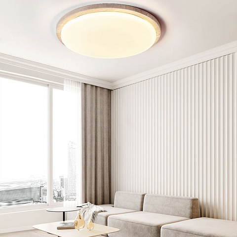 Накладной светильник ImperiumLoft 231191-23