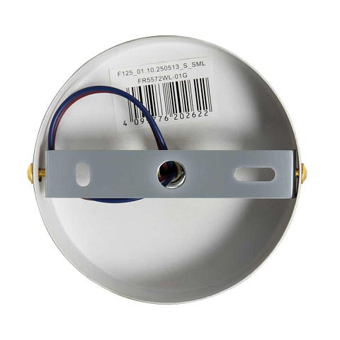 Бра Freya FR5572WL-01G