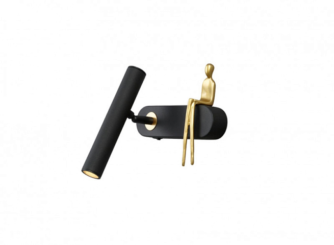 Детский спот ARTE Lamp A2173AP-1BK