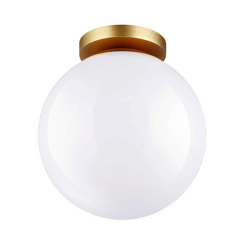 Накладной светильник Odeon Light 4248/1C