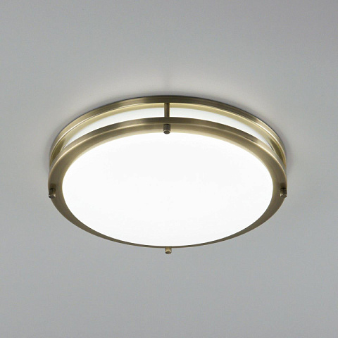 Накладной светильник Citilux CL709323N