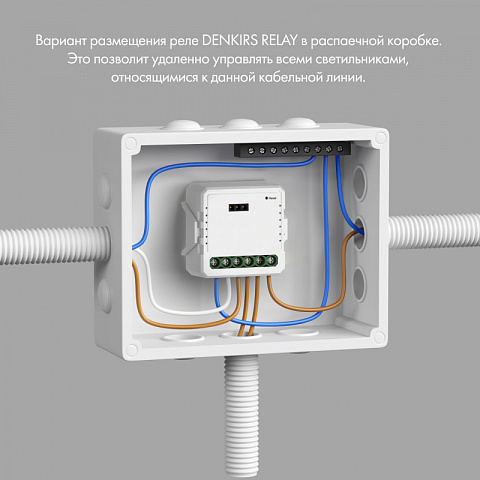 Wi-Fi реле Denkirs RL1001-SM