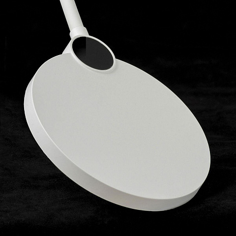 Торшер Lussole LSP-0919