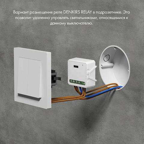 Wi-Fi реле Denkirs RL1002-SM