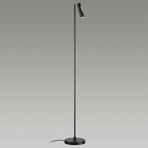 Торшер Odeon Light 6643/5FL