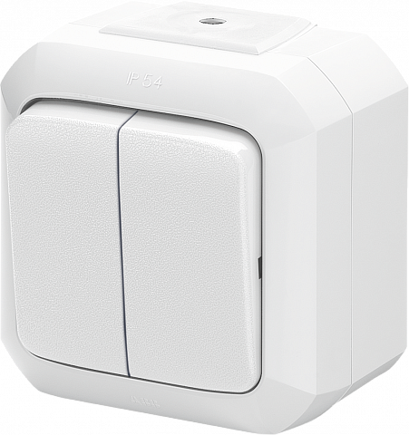 ABB Variant+ Белый Выключатель двухклавишный, IP54