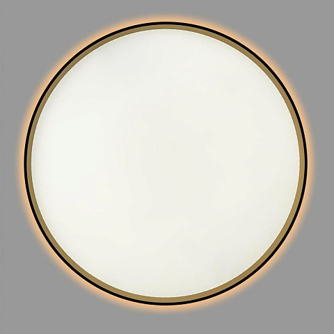 Накладной светильник Citilux CL750501R