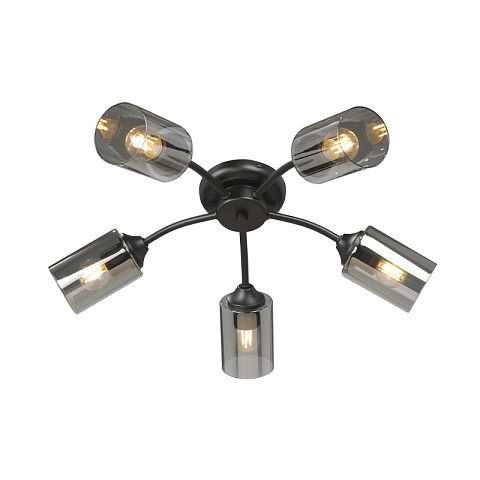 Накладная люстра Vitaluce V2558-1/5PL
