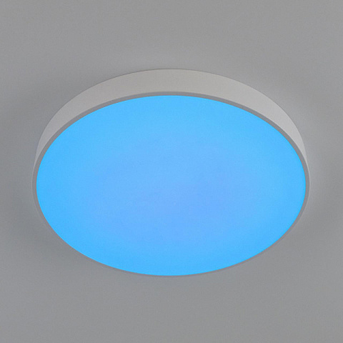 Накладной светильник Citilux CL72495G0