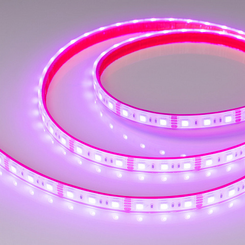 Лента Arlight 033790