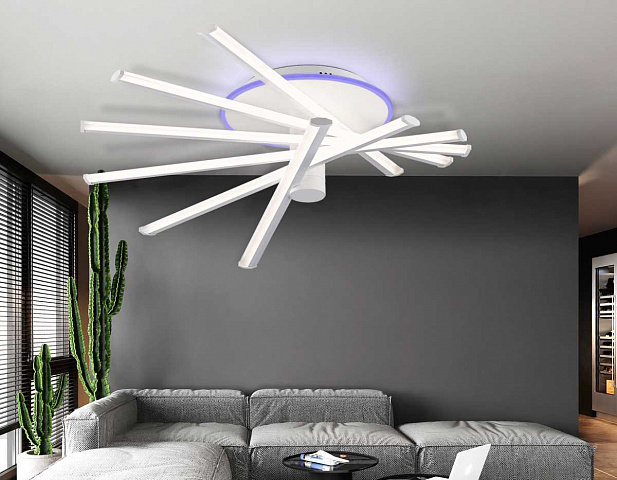 Накладной светильник Ambrella Light FL6231