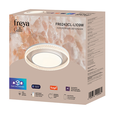 Накладной светильник Freya FR6243CL-L109W