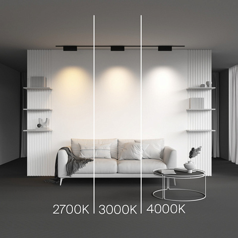 Светильник на шине Maytoni TR194-1-12W2.7K-M-B