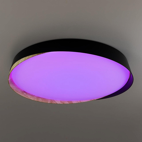 Накладной светильник Citilux CL754451G