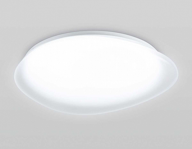 Накладной светильник Ambrella Light FZ1605