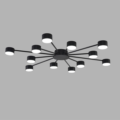 Накладная люстра LUMION 8344/12C