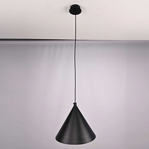 Подвесной светильник Imperium Loft Roundew D29 Black 302464-26