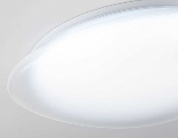 Накладной светильник Ambrella Light FZ1605