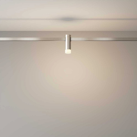 Трековый светильник Maytoni Technical TR145-1-3W3K-W-PT