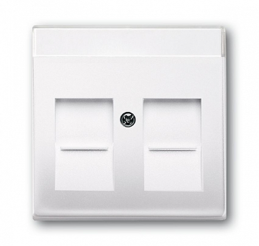 ABB BJB Basic 55 Бел Плата центральная  2-я для коммуникац розеток 0211 с суппортами 18**