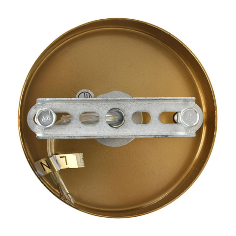 Подвесная люстра LUMION 8320/5
