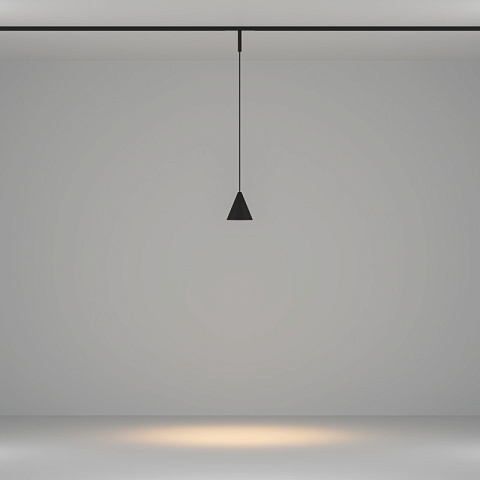 Светильник на шине Maytoni TR182-1-5WTW-M-B