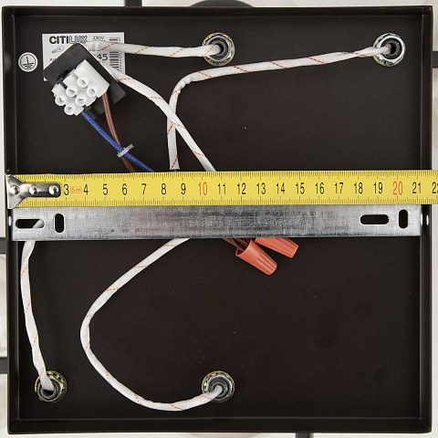 Люстра на штанге Citilux CL106265
