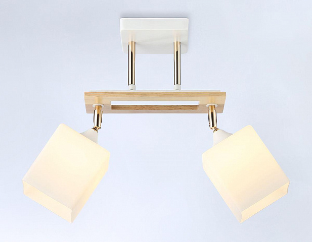 Накладной светильник Ambrella Light TR9501
