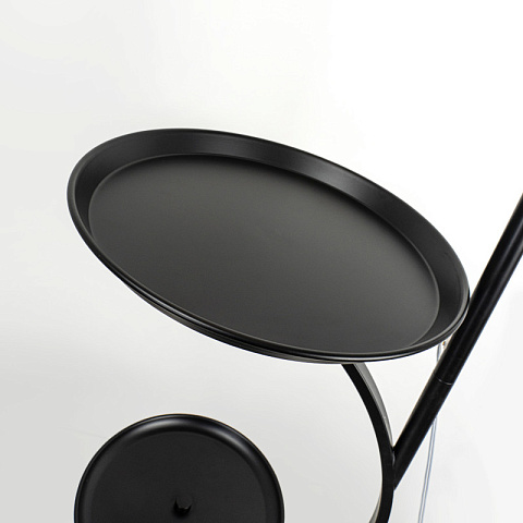 Торшер MODELUX MD.6811.01FL