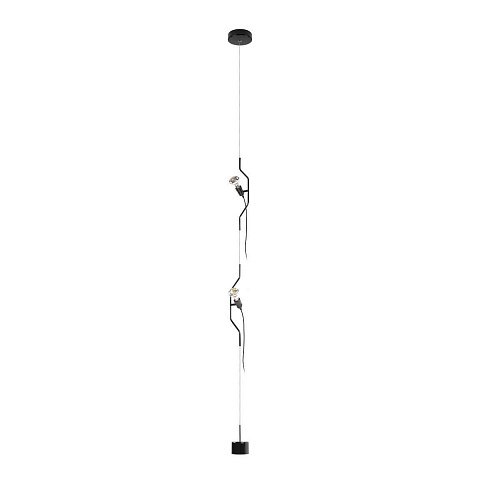 Потолочный детский светильник LOFT IT 10346/2 Black