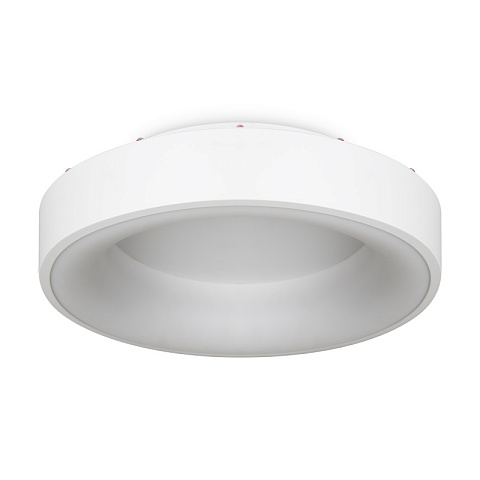 Накладной светильник Freya FR6118CL-L45W
