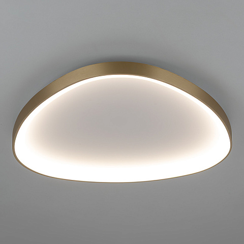 Накладной светильник Citilux CL756A162