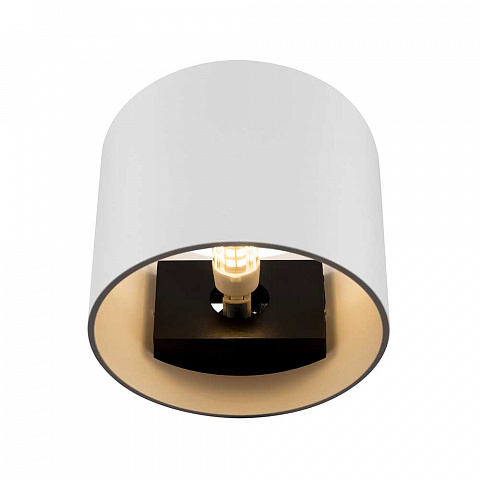Бра Maytoni C066WL-01W
