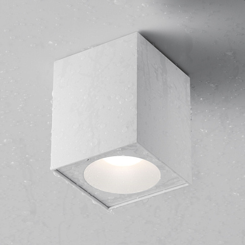 Влагозащищенный светильник Maytoni C030CL-01W