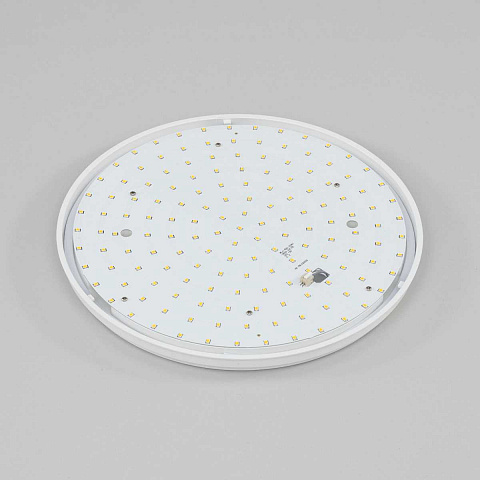 Накладной уличный светильник Citilux CL702221N