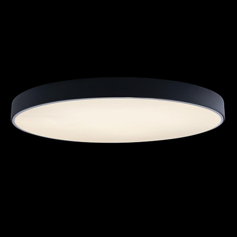 Накладной светильник LOFT IT 10002/48 Black