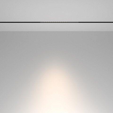 Светильник на шине Maytoni TR232-2-10W4K-B