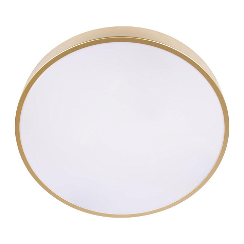 Потолочный светодиодный светильник Loft IT Flims 10228/A