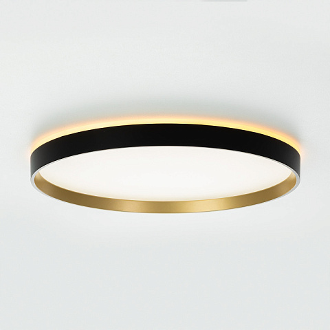 Накладной светильник Citilux CL750401R