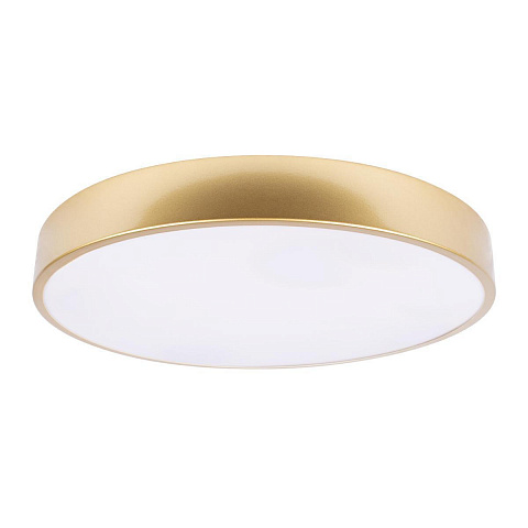 Потолочный светодиодный светильник Loft IT Flims 10228/A