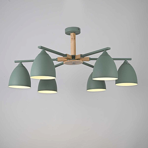 Потолочная люстра Imperium Loft Noa 6 Mint 183467-26