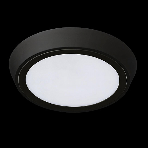 Влагозащищенный светильник Lightstar 216972