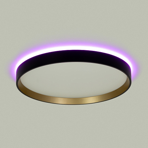 Накладной светильник Citilux CL750321R