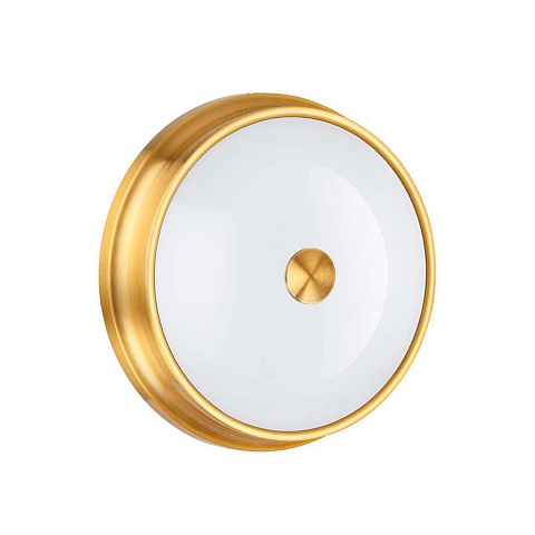 Накладной светильник Odeon Light 4824/3C