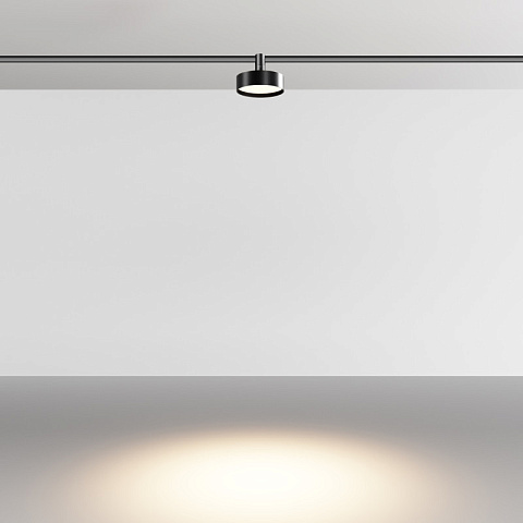 Светильник на шине Maytoni TR204-1-12W3K-B