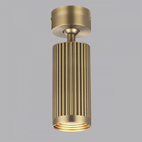 Накладной светильник Odeon Light 7013/1C